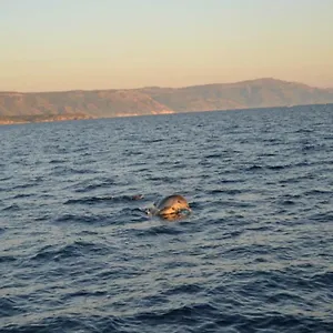 Casa Pierina Dom wakacyjny Alghero